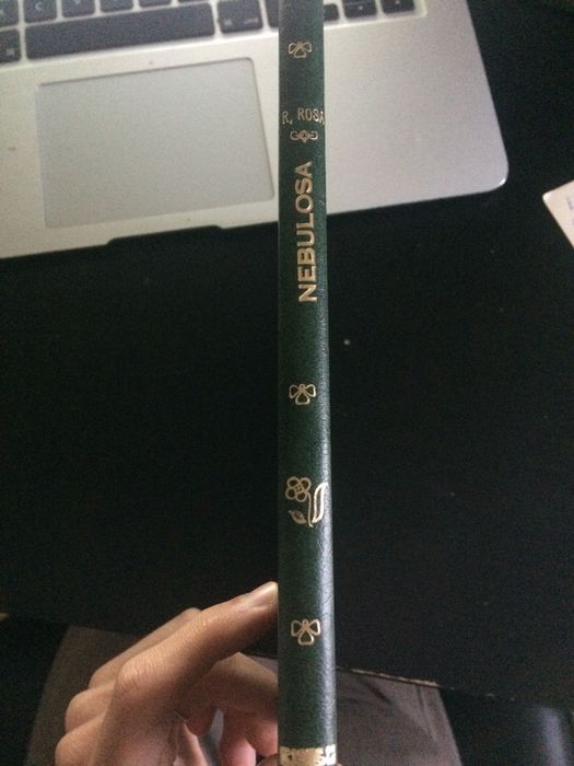 António Ramos Rosa Viagem através duma Nebulosa