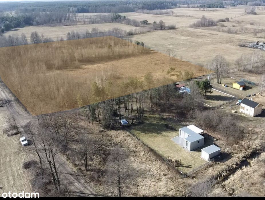 Urokliwa działka rekreacyjna wsród lasów