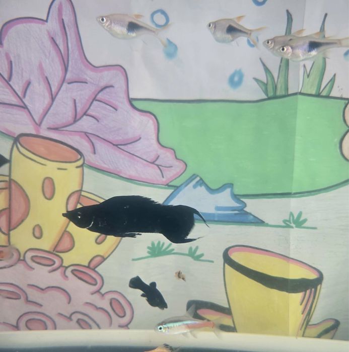 Aquario aquatlantis 60L como novo