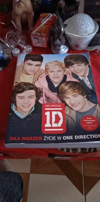Sprzedam książkę z zespołu one direction