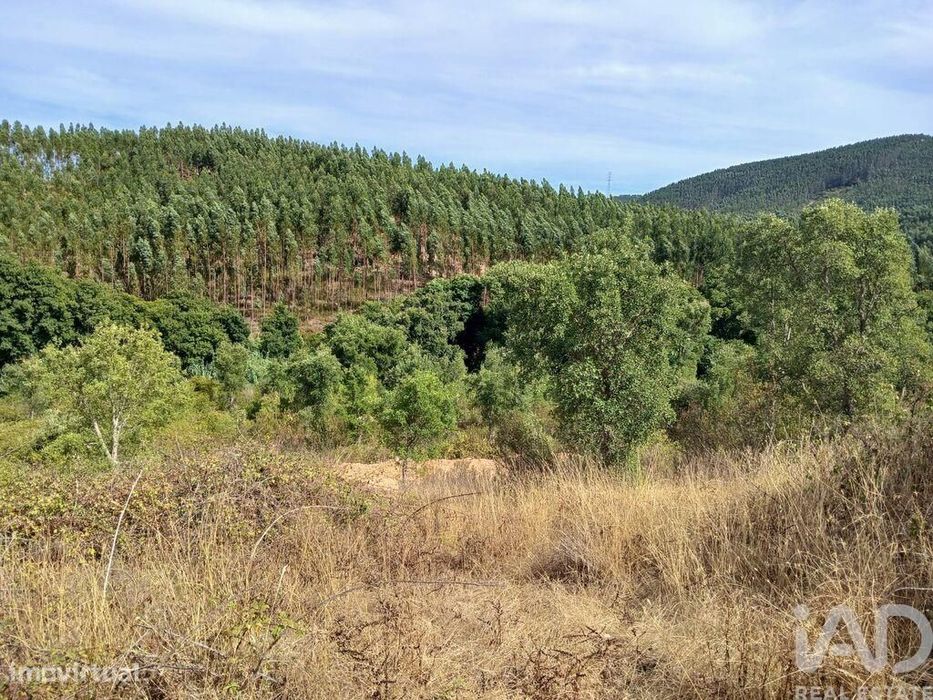Quinta rural T1 em Sabóia de 80 m2