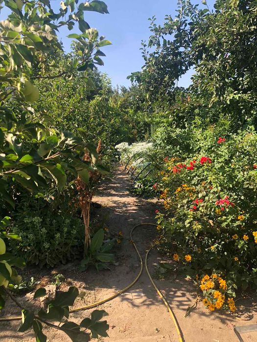 Подобово здаю кімнату