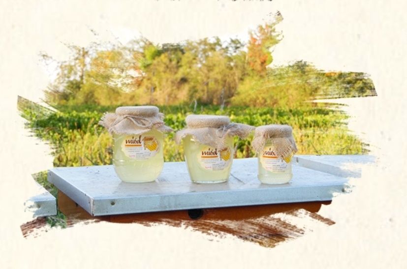 Miód akacjowy 1250g 2025