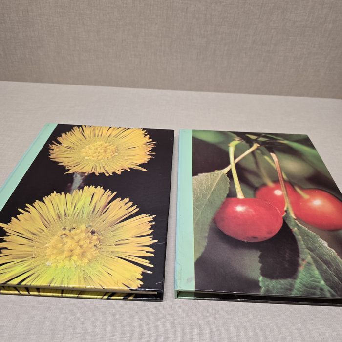 Colecção As Plantas Nossas Amigas