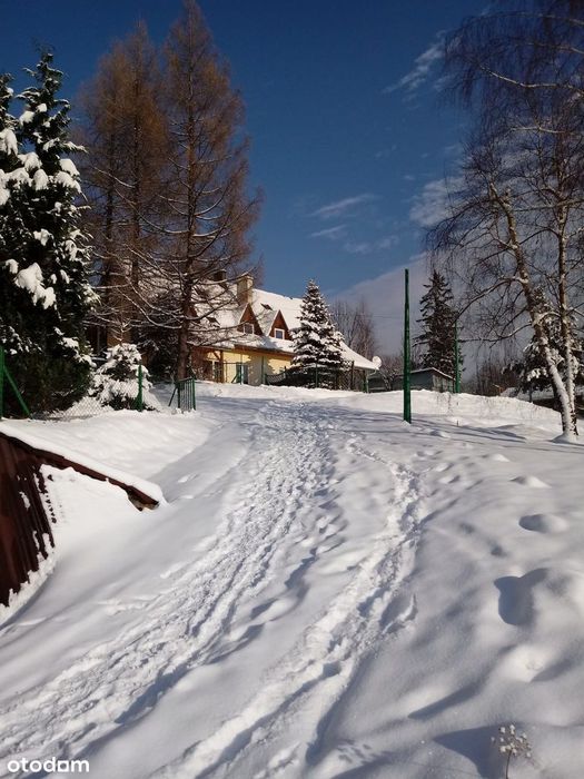 Dom bliźniak (połówka) w Kościelisku Karpielówka z widokiem na Giewont