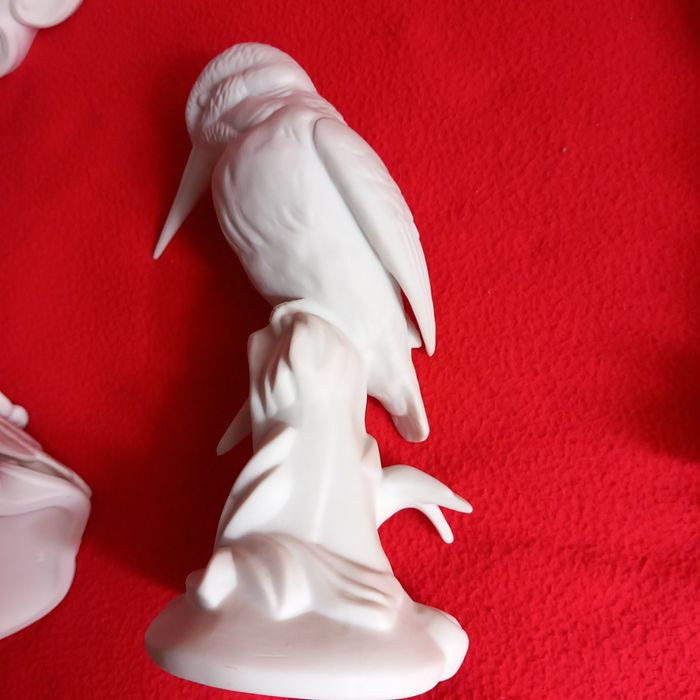 Casal de Catatuas e guarda Rios.V.A.