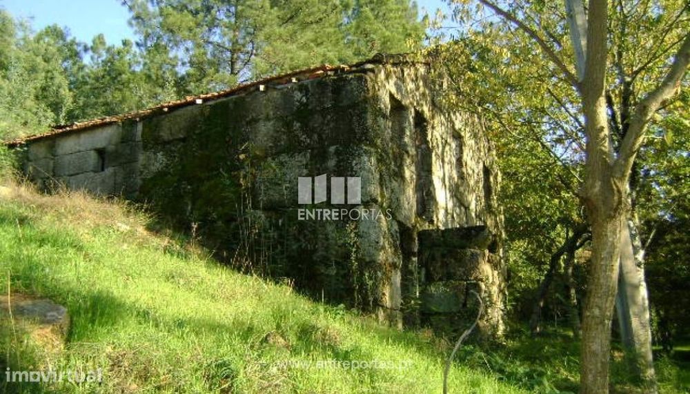 Rustic Country House for Sale with Rebuild Potential, Folhada, Marco de Canaveses