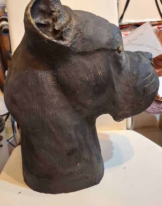 Cane corso rzeźbiona głowa