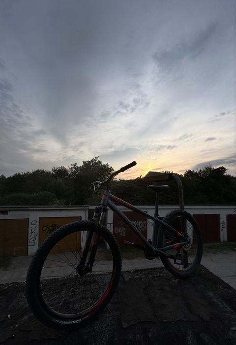 Rower Kellys whip 50