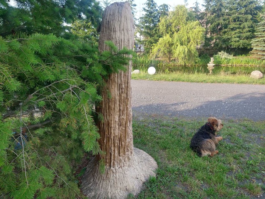 Głazy kamienie ogrodowe ozdoby Stalagmity