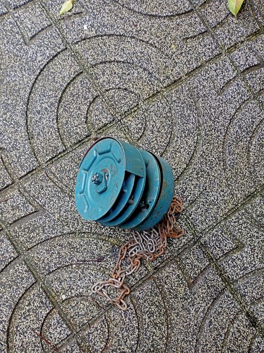 Garibaldi corrente pesos