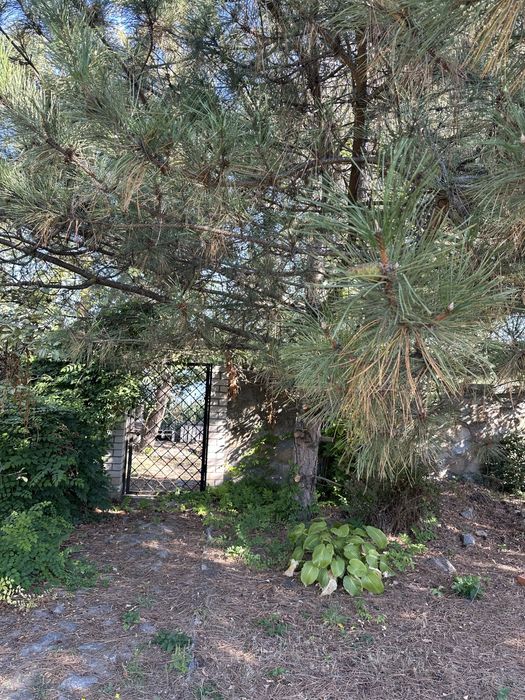 Продам дом на затоке Днепра , свой пляж, газ, эксклюзивное место