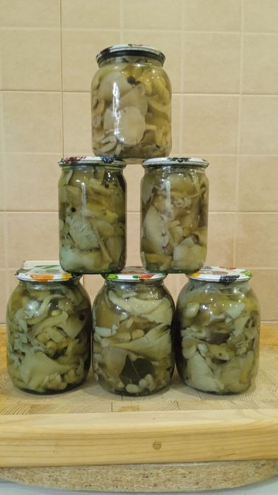 Маринованная вешенка