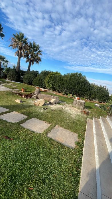 Abate de árvores/Podas e palmeiras