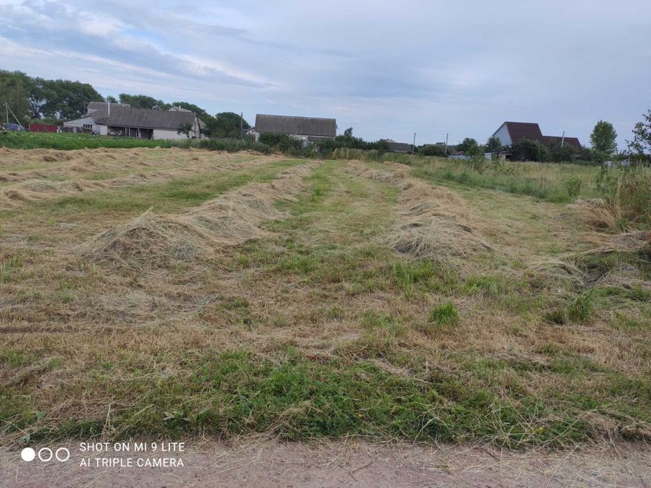 Земельна ділянка