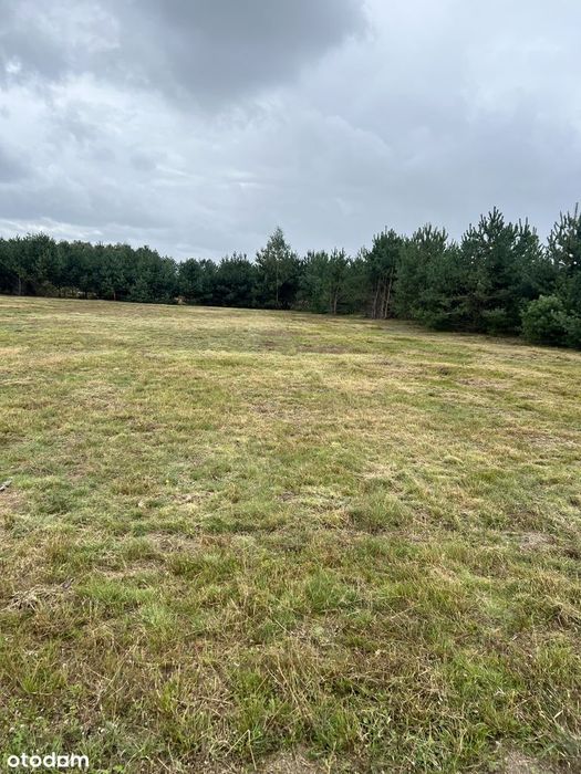 Działka budowlana 3010 m² prąd w drodze