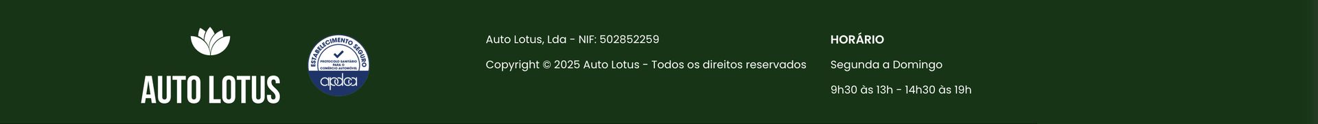 Auto Lotus top banner