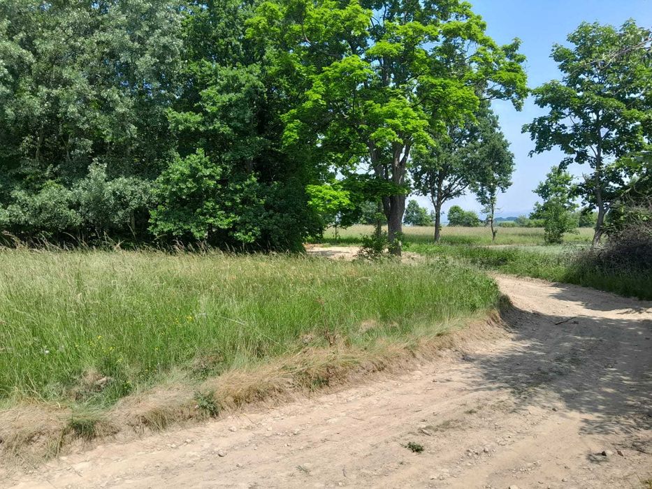 Widokowa działka budowlana z Warunkami Zabudowy - Starkówek - pod lasem - 1831 m² – 5 km od Polanicy Zdroju - z widokiem na Śnieżnik - Widok 5