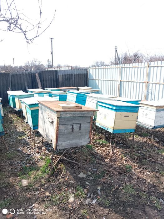Продам вулики для бджіл