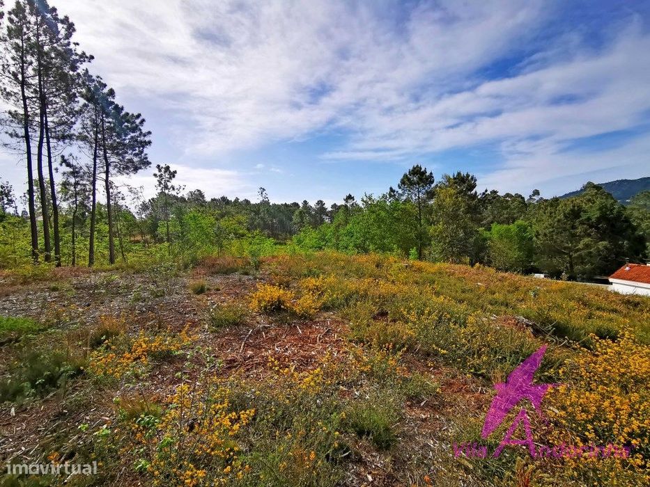 Terreno em Nogueira com vista desafogada