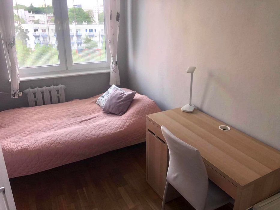 Zdjęcie 8