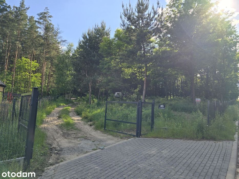 Działka 5,7 ha na Jurze | Część budowlana 3700m² +las| Wszystkie media