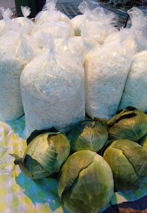 Kapusta Szatkowana do kiszenia