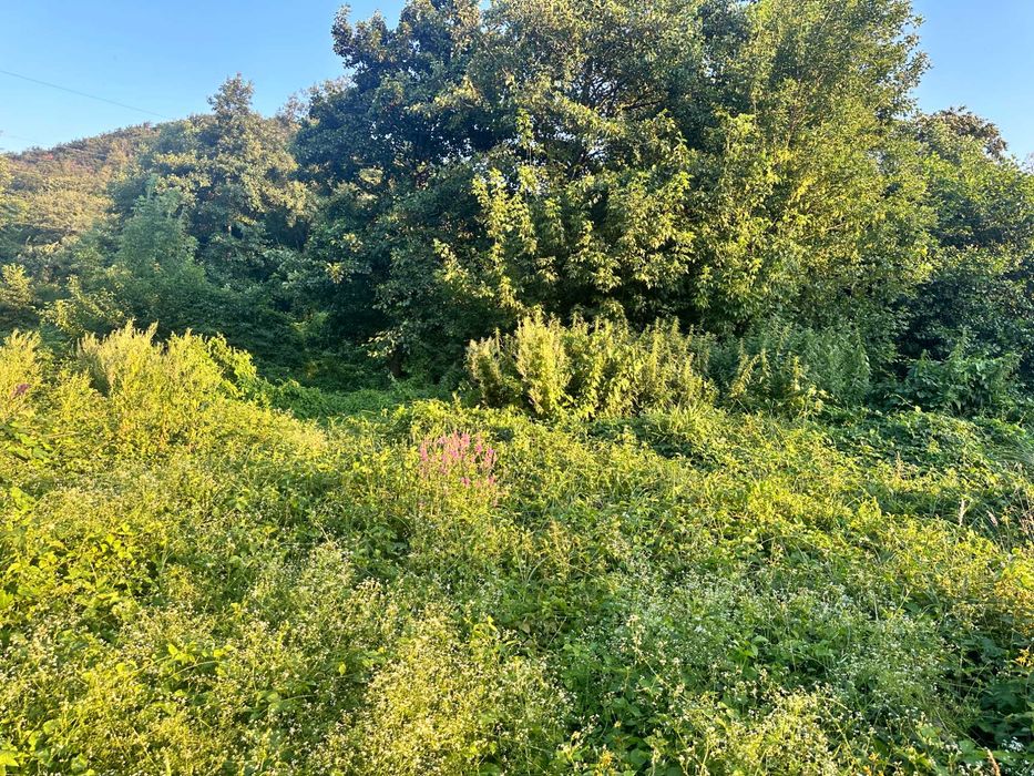 Продаж ділянки під лісом (район ресторану "Камелот")