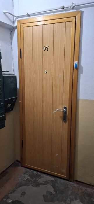 Двері вхідні зі сталевим каркасом