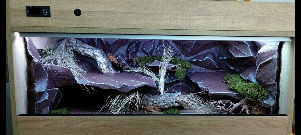 Terrarium pustynne dla agamy brodatej 120x60x60 ( Exotic Leszno )