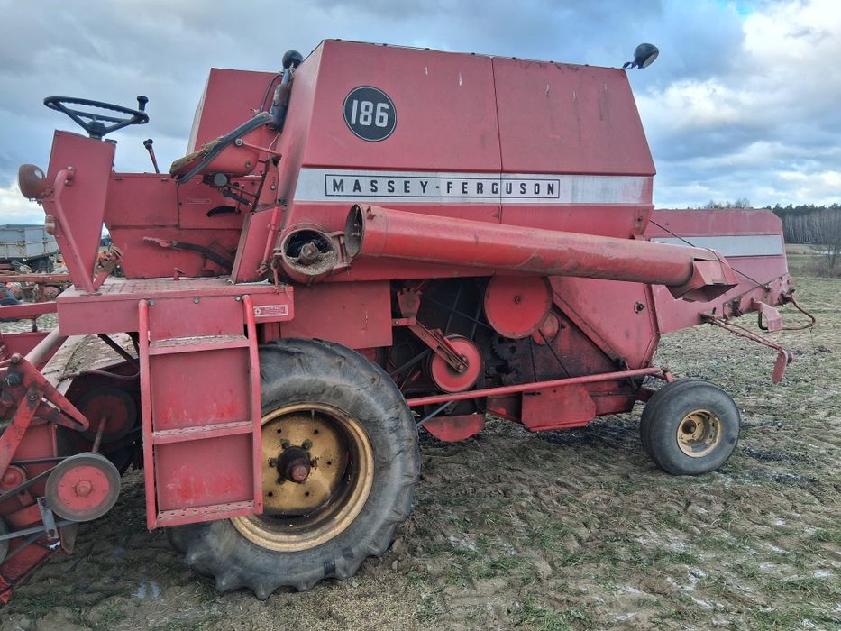 Kombajn zbożowy  sieczkarnia Massey Ferguson  186