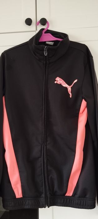 Na sprzedaż oryginalny, sportowy komplet dresowy marki Puma 152
