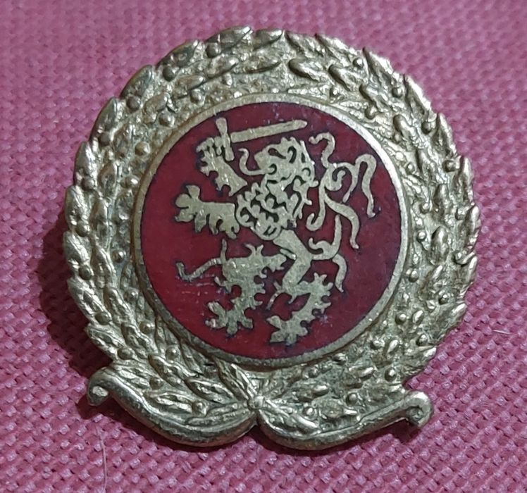 Insígnias  militares de boina    Exército