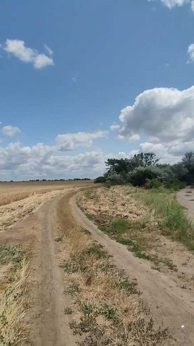 Продам землю 4.5 га в Межлиманьерядом с Одессой