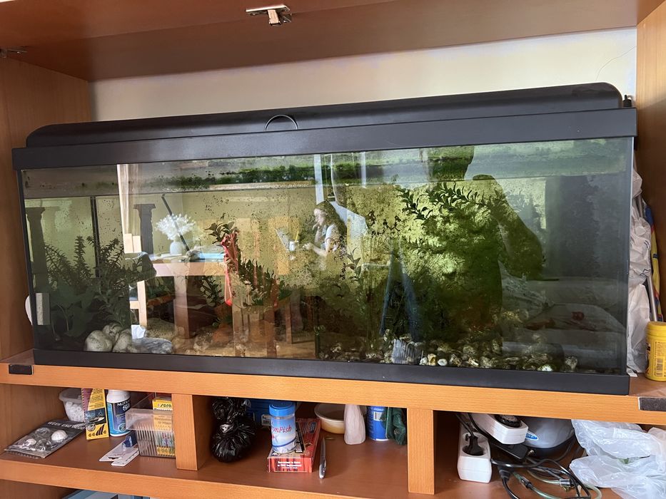 Aquario grande para Sala