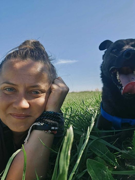 Piękny Bufet do adopcji