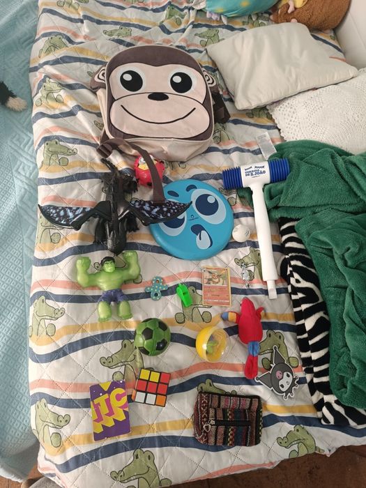 Brinquedos Poucos Usados e Acessórios