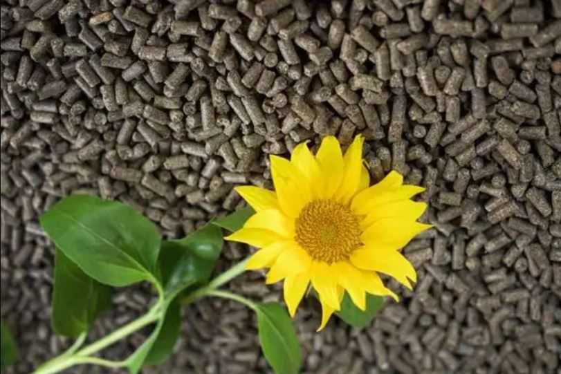 EKO Pellet, Pelet, ŁUSKA Słonecznika EKOgroszek