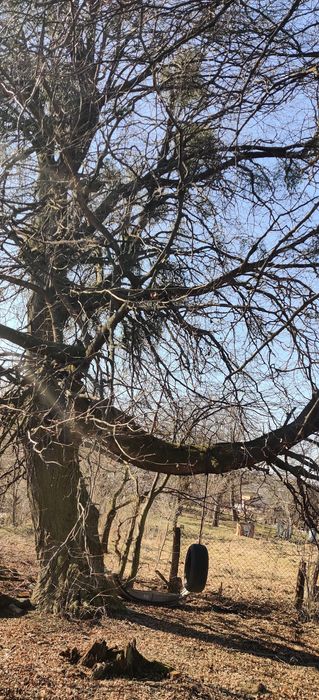 Продається будинок з великою ділянокою