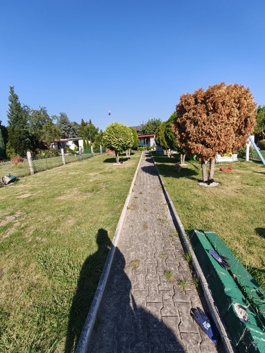 Ogródek działkowy, działka rekreacyjna ROD Konopnickiej Ruda Śląska Bielszowice