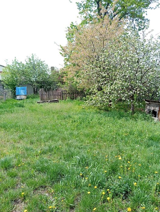 Терміново продам будинок с.Брівки,Житомирська обл.!