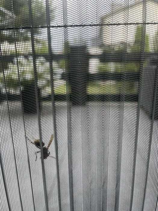 Naprawa rolet, żaluzji, moskitier