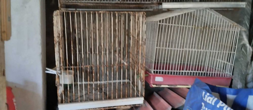 Varias gaiolas de aves