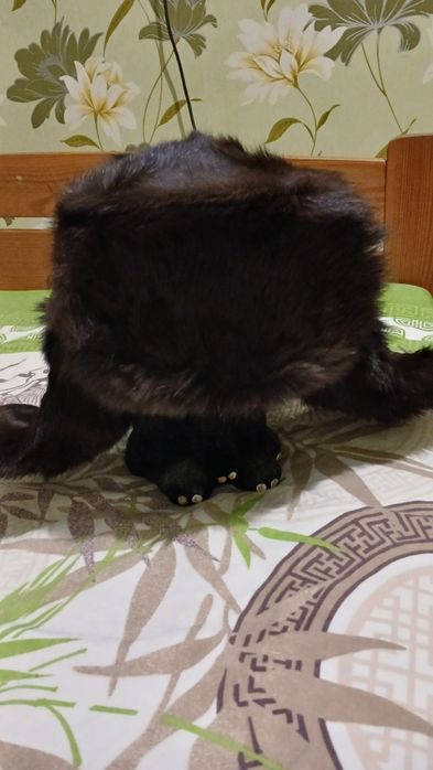 Меховая шапка из кролика