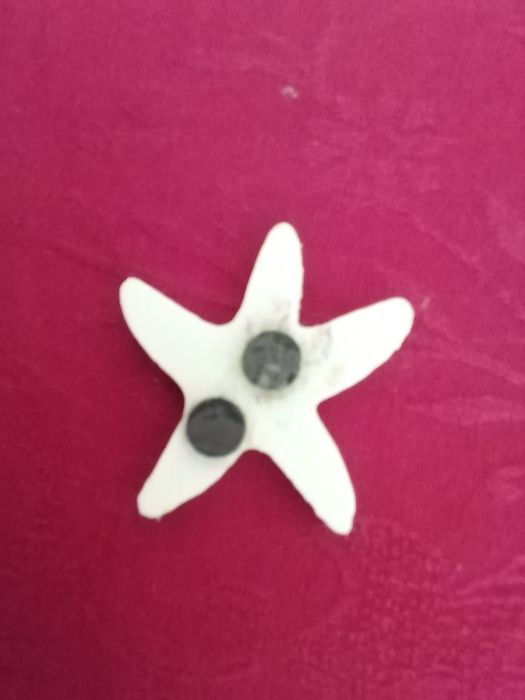 Íman Estrela do mar, novo