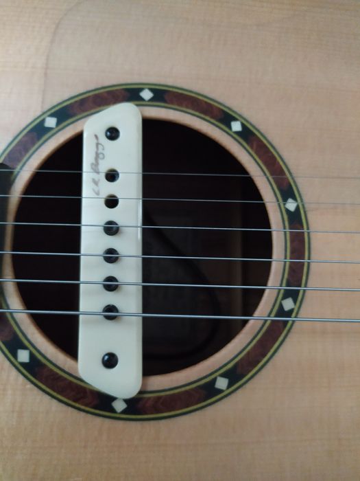 Gitara  Dowina Marus D z fishmann neo