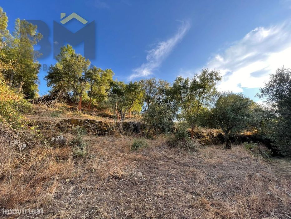 Terreno Rústico  Venda em Ninho do Açor e Sobral do Campo,Castelo Bran