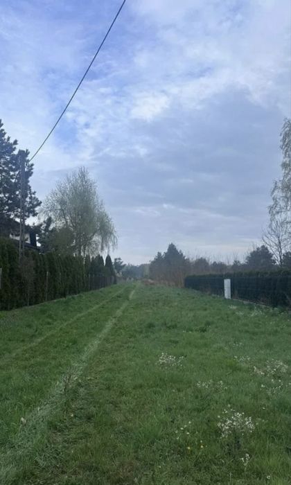 Zdjęcie 5