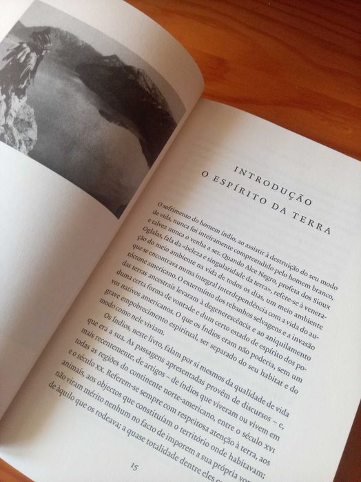 A Fala do Índio - Teri C. McLuhan
