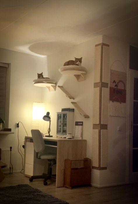 Cama de Parede para gatos NATURAL PARADISE